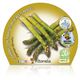 Pack Espárrago 6 Ud. Asparagus officinalis - 02031046 (2)