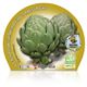 Alcachofa M-10,5 Cynara scolymus - 02025061 (2)