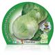 Lechuga Iceberg M-10,5 Lactuca sativa - 02025043 (2)