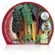 Pack Acelga Colores 6 Ud. Beta vulgaris - 02031074 (2)