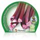 Ruibarbo M-10,5 Rheum rhabarbarum - 02025126 (2)
