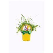 Hierba Para Pájaros M-10,5 F. arundinacea, M. sativa, T. officinale, A. sat - 02039002 (1)