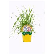 Hierba Para Roedores M-10,5 F. arundinacea, M. sativa, H. vulgare, V. sativ - 02039003 (1)