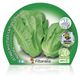 Pack Lechuga Romana 12 Ud. Lactuca sativa - 02031003 (2)