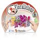 Pack Floralicius Mix I 6 Ud. L. maritima + A. majus + D. chinenis - 02042001 (2)