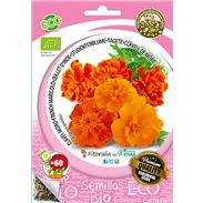 Sobre Semilla ECO Tagete - 04082123 (1)