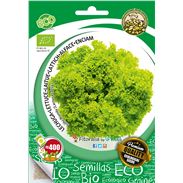 Sobre Semilla ECO Lechuga "Lollo Bionda" - 04082026 (0)