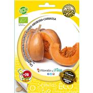 Sobre Semilla ECO Calabaza "Muscat De Provence" - 04082042 (1)