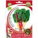 Sobre Semilla ECO Acelga "Rainbow Chard" - 04082061 (1)