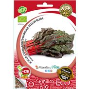 Sobre Semilla ECO Acelga "Rhubarb Chard" - 04082062 (1)