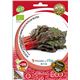Sobre Semilla ECO Acelga "Rhubarb Chard" - 04082062 (1)