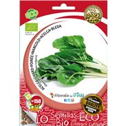 Sobre Semilla ECO Acelga "Glatter Silber 3" - 04082063 (1)