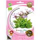 Sobre Semilla ECO Salvia - 04082116 (1)