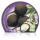 Rábano Negro M-10,5 Raphanus sativus - 02025152 (2)