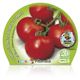 Tomate Racimo M-10,5 Solanum lycopersicum - 02025018 (2)