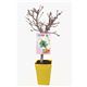 Almendro Enano Garden Prince 5l - Prunus dulcis - 03055002 (1)
