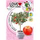 Manzano Enano Sun Red 5l - Malus domestica - 03055005 (2)