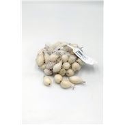 Cebollita Blanca Malla 500 g - 04079011 (1)