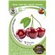 Cerezo Burlat M-25 - Prunus avium - 03054006 (3)