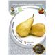 Peral Conference M-25 - Pyrus communis - 03054034 (3)