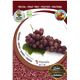Parra Red Globe M-25 - Vitis vinifera - 03054042 (3)