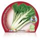 Acelga Verde M-10,5 Beta vulgaris - 02025150 (2)