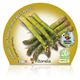 Espárrago M-10,5 Asparagus officinalis - 02025080 (2)