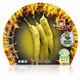 Picante Hot Banana M-10,5 Capsicum annuum - 02028013 (2)