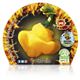 Picante Scotch Bonnet Yellow M-10,5 Capsicum chinense - 02028017 (2)