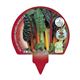 Pack Acelga Colores 6 Ud. Beta vulgaris - 02031074 (3)