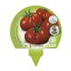 Pack Tomate Raf 6 Ud. Solanum lycopersicum - 02031054 (3)