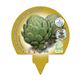 Pack Alcachofa 6 Ud. Cynara scolymus - 02031045 (3)