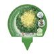 Pack Escarola 12 Ud. Cichorium endivia - 02031004 (3)