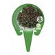 Lechuga Hoja de Roble M-10,5 Lactuca sativa - 02025042 (3)