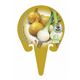 Cebolla Babosa M-10,5 Allium cepa - 02025066 (3)