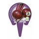 Remolacha M-10,5 Beta vulgaris - 02025086 (3)
