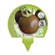Pack Tomate Negro 6 Ud. Solanum lycopersicum - 02031053 (3)