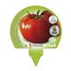 Pack Tomate Tres Cantos 6 Ud. Solanum lycopersicum - 02031058 (3)