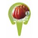 Tomate Corazón de Buey M-10,5 Solanum lycopersicum - 02025013 (3)