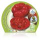 Pack Tomate Montserrat 6 Ud. Solanum lycopersicum - 02031052 (2)