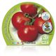 Pack Tomate Racimo 6 Ud. Solanum lycopersicum - 02031057 (2)