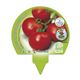 Pack Tomate Racimo 6 Ud. Solanum lycopersicum - 02031057 (3)