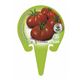 Tomate Raf M-10,5 Solanum lycopersicum - 02025019 (3)
