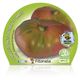 Tomate Rosa M-10,5 Solanum lycopersicum - 02025020 (2)