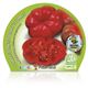 Tomate Montserrat M-10,5 Solanum lycopersicum - 02025014 (2)