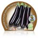 Berenjena Larga Negra M-10,5 Solanum melongena - 02025032 (2)