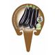 Berenjena Larga Negra M-10,5 Solanum melongena - 02025032 (3)