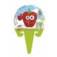 Pimiento Rojo KIDS M-10,5 Capsicum annuum - 02034008 (3)
