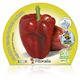 Pack Pimiento Rojo 6 Ud. Capsicum annuum - 02031059 (2)