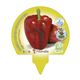 Pack Pimiento Rojo 6 Ud. Capsicum annuum - 02031059 (3)